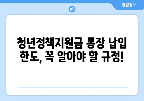 청년정책지원금 통장 납입 한도 규정