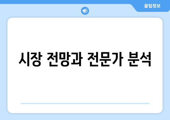 시장 전망과 전문가 분석