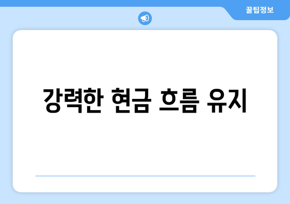 강력한 현금 흐름 유지