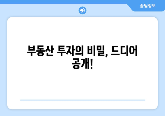 부동산 투자의 비밀, 드디어 공개!