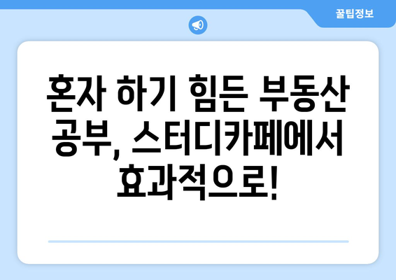 부동산 스터디카페 추천 게시글 (2024년 6월 10일)