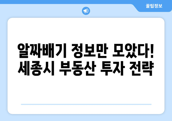 세종 시 부동산 투자 팁