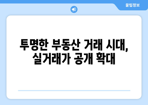 아파트 실거래가 공개 확대: 부동산 거래 관리 시스템 도입