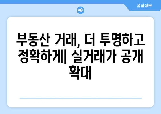 차세대부동산거래관리시스템: 실거래가 공개 범위 확대