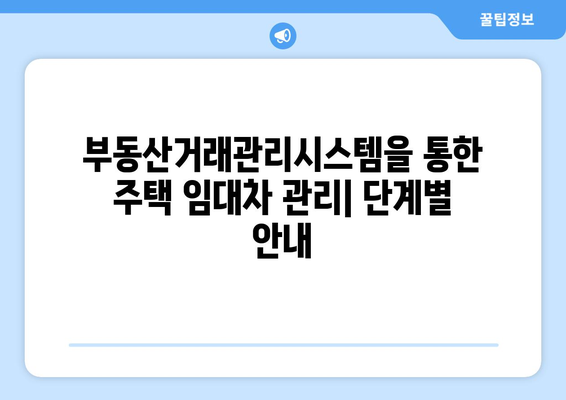 부동산거래관리시스템을 통한 주택 임대차 관리: 단계별 안내