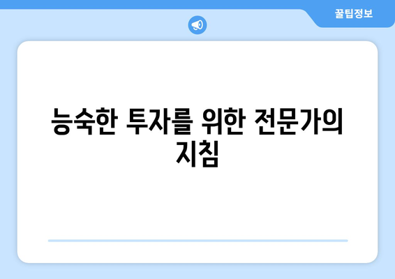 능숙한 투자를 위한 전문가의 지침