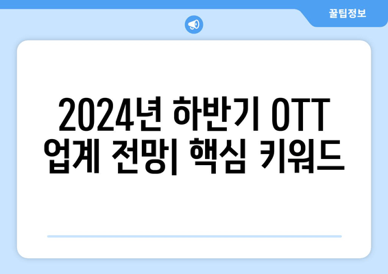 2024년 하반기 OTT 업계 전망