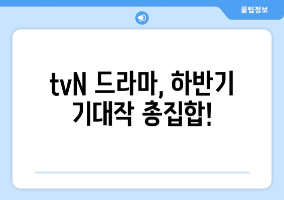 2024년 하반기 대망의 tvN 드라마 라인업