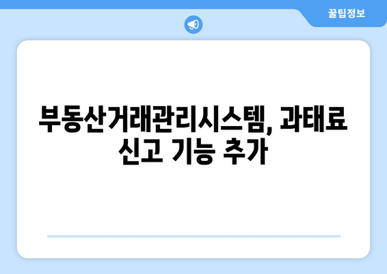 과태료 신고도 부동산거래관리시스템으로