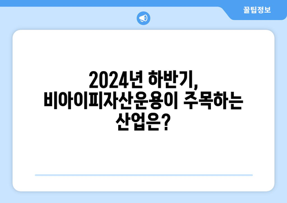 비아이피자산운용의 2024년 하반기 주요 산업 종목