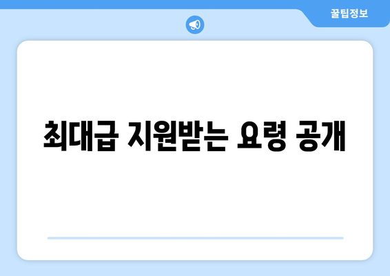 최대급 지원받는 요령 공개