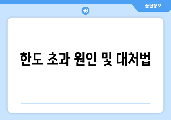 한도 초과 원인 및 대처법