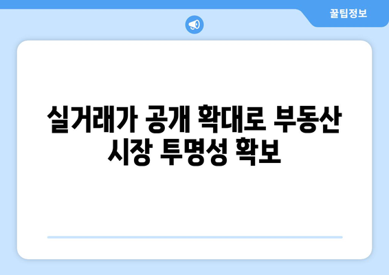 아파트 실거래가 공개 확대: 부동산 거래 관리 시스템 도입