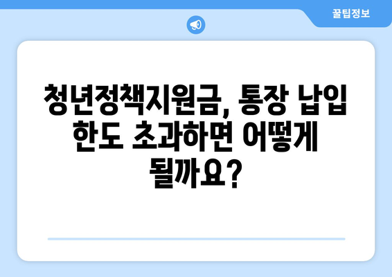 청년정책지원금 통장 납입 한도 규정