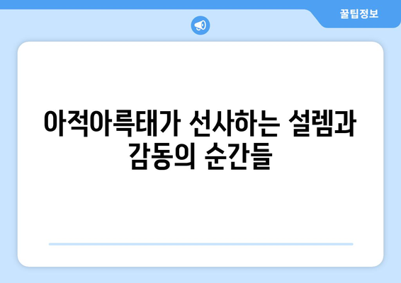 중국 드라마 리뷰: 