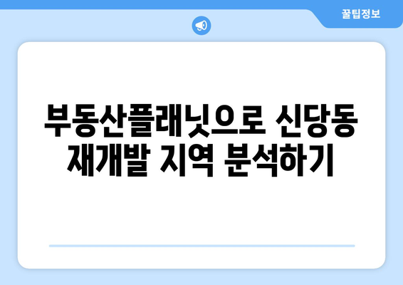 신당동 재개발 지역 선정: 부동산플래닛으로 노후도 확인