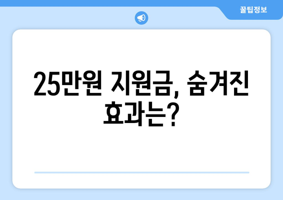 민생회복을 위한 25만 원 지원금 제정