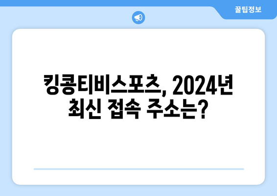 2024 킹콩티비스포츠 최신 주소 리뷰