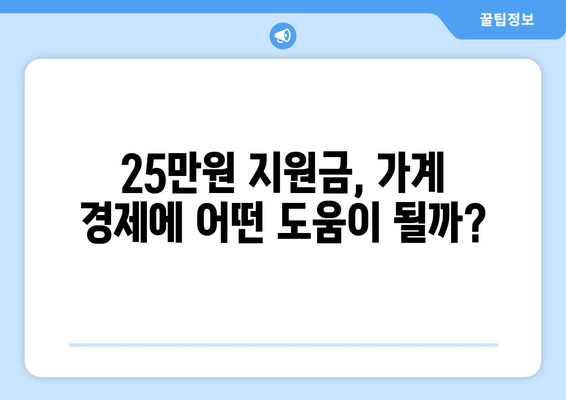 25만원 지원금의 경제적 영향