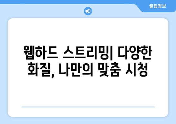 티비위키 대신 웹하드 스트리밍을 이용하는 이점