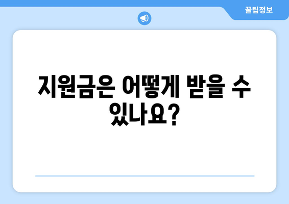 25만원 민생 지원금 신청 방식 및 방법