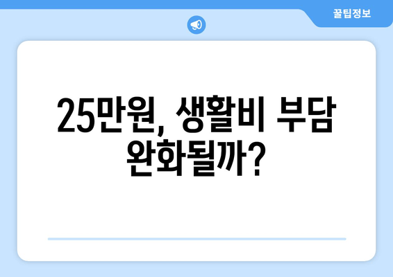 25만원 지원금: 일상적 경제적 지원이 될 것인가?