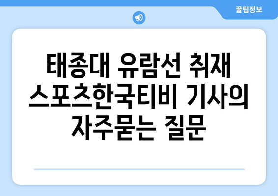 태종대 유람선 취재 스포츠한국티비 기사