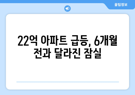 22억 잠실 아파트 6개월 만에 급등: 집주인들의 반응