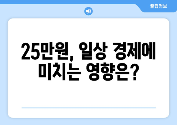 25만원 지원금: 일상적 경제적 지원이 될 것인가?