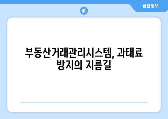 과태료 발생 방지: 부동산거래관리시스템을 통한 정확한 신고