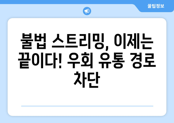 정부의 누누티비 재발 방지 대책: 우회 유통 차단