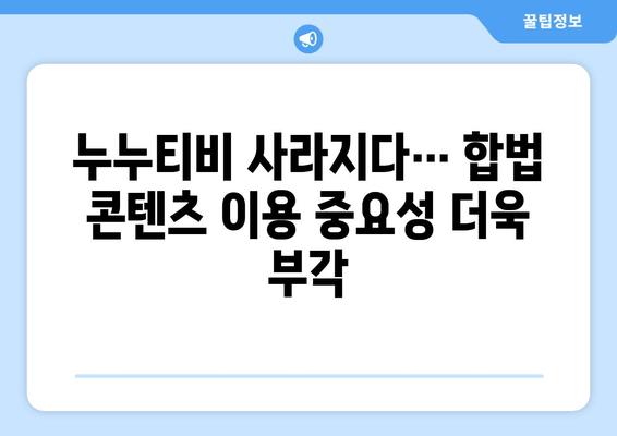 누누티비 논란의 종지부: 서비스 종료