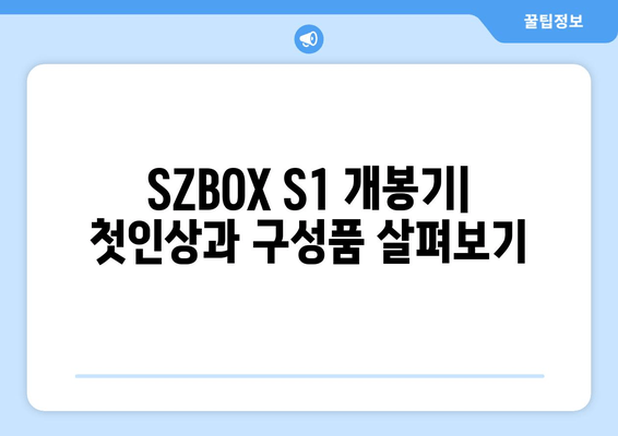 SZBOX S1 구입기 알리직구 N100 알아보기