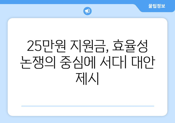 25만 원 지원금 대안: 경기 부양을 위한 제안