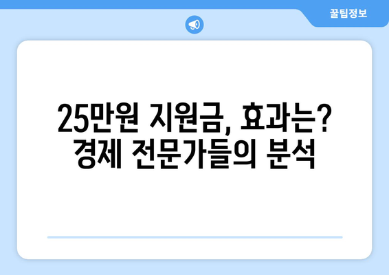 이재명의 25만원 지원금 논란