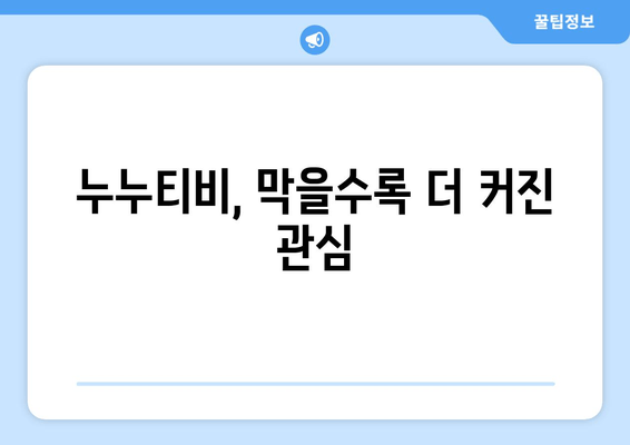 불법 사이트 누누티비가 보여준 스트라이샌드 효과