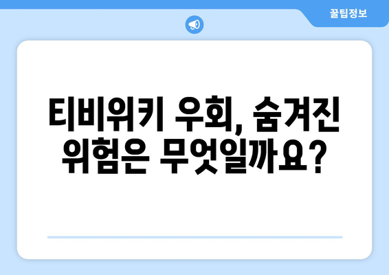 티비위키 우회의 위험성과 대안