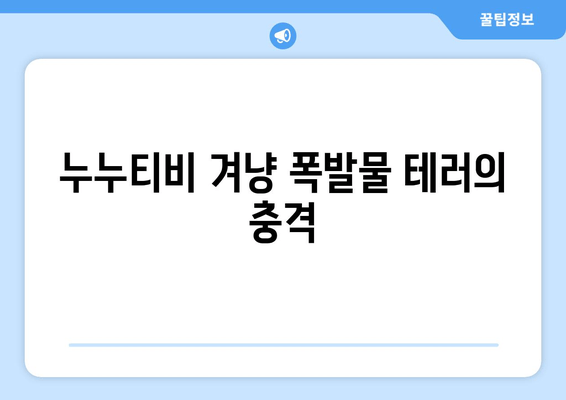 누누티비 겨냥 폭발물 테러의 충격