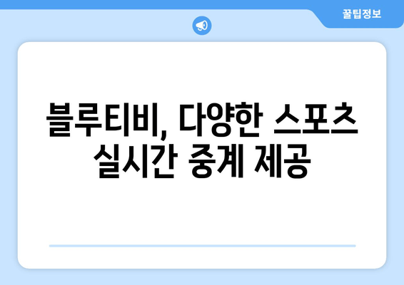 블루티비 스포츠 무료 중계 사이트 소개