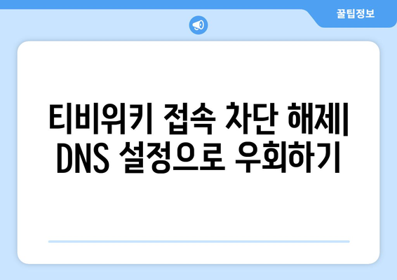 티비위키 주소 우회 접속을 위한 DNS 설정 변경 가이드