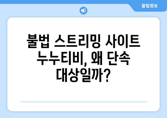 누누티비 연말까지 집중 단속