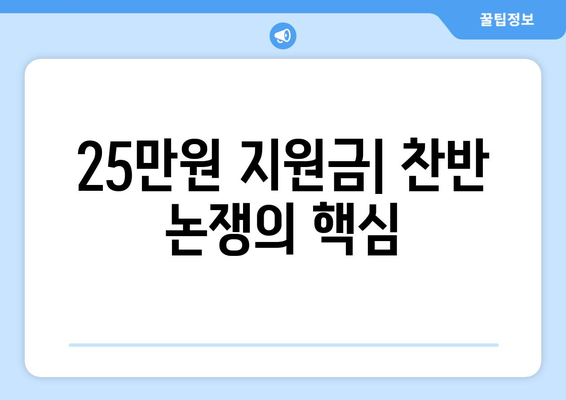 25만원 지원금: 사회적 불의를 해결하는 혁신적인 접근 방식인가 복지 국가의 기본 원칙 약화인가?