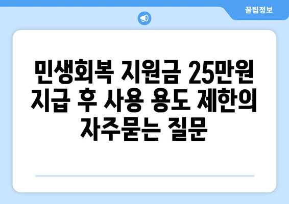 민생회복 지원금 25만원 지급 후 사용 용도 제한