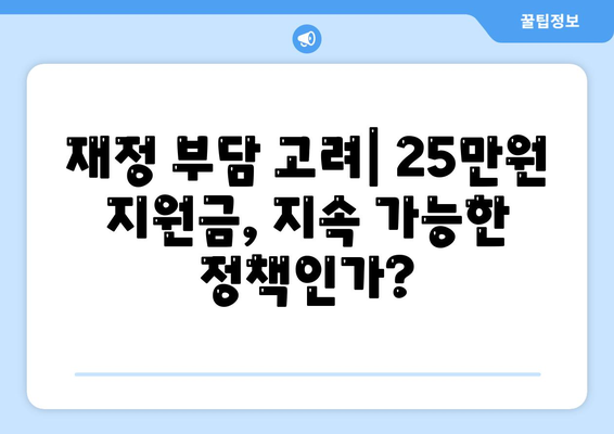 25만원 민생 지원금, 경제에 미치는 영향