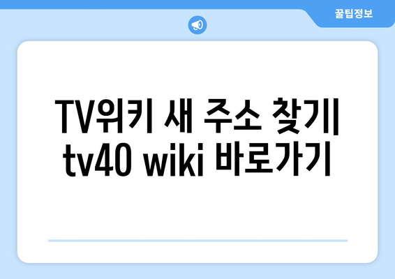 TV위키 새 주소 tv40 wiki 바로가기 2024 최신 정보