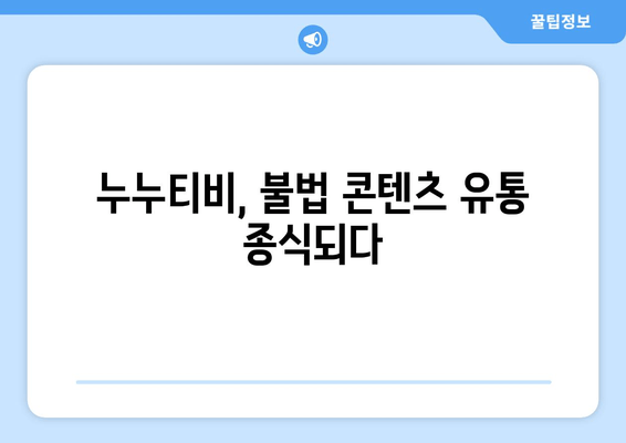 누누티비, 결국 서비스 종료