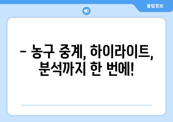 스포츠티비: 농구에 대한 당신의 열정을 불태우는 곳