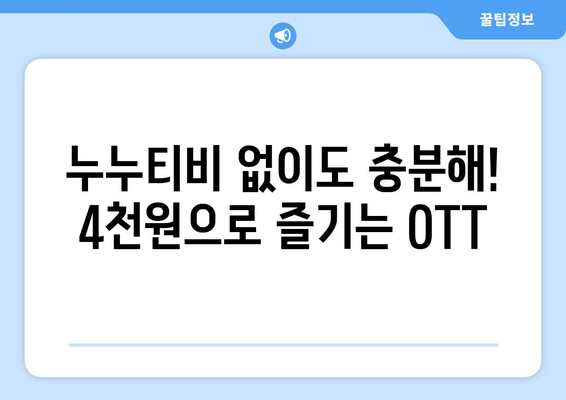 누누티비 없는 시대, 한달 4천원으로 OTT 시청하기