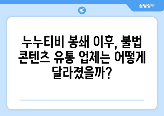 제2의 누누티비 봉쇄: 불법 콘텐츠 유통 업체에 의무 부과