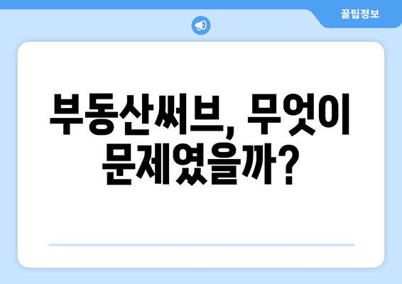 부동산써브 논란의 전말